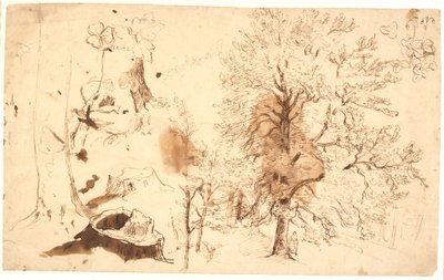 木、植物、切り株で学ぶ 作： Dankvart Dreyer