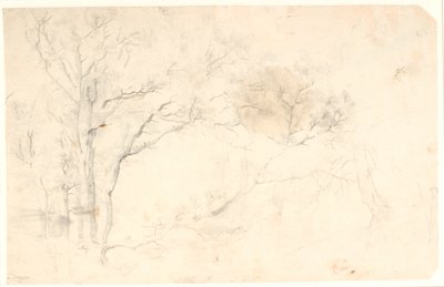 木材研究 作： Dankvart Dreyer