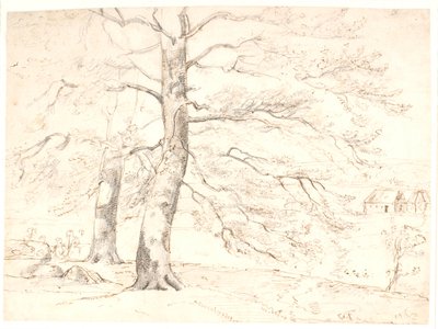 前景の大きなブナの木の風景の眺め 作： Dankvart Dreyer