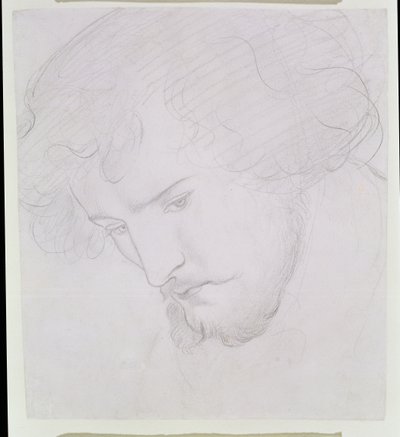 ダビデの種-ダビデのための研究、1859-1862 作： Dante Gabriel Charles Rossetti