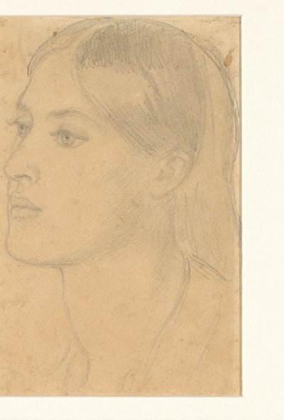 女性の頭 作： Dante Gabriel Rossetti (attributed to)