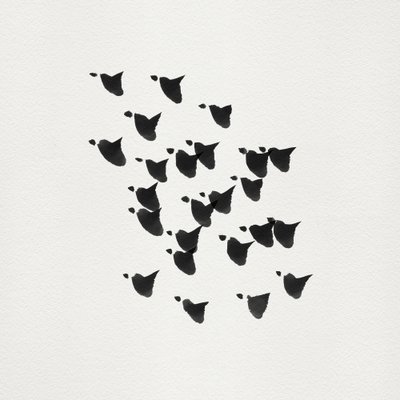 ミニマルな鳥たちの飛行 作： Danushka Abeygoda
