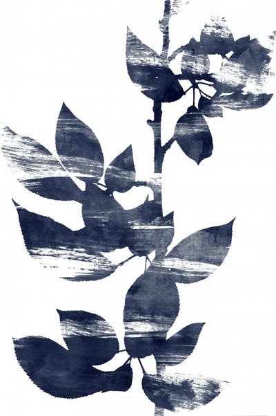  作： Danushka Abeygoda