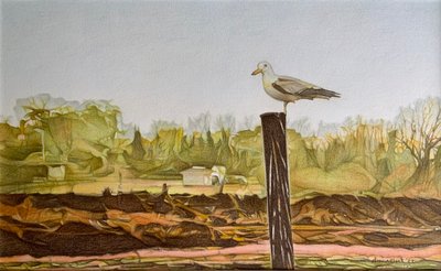 孤独なカモメ、2022年（紙に鉛筆） 作： Darrell Windjack