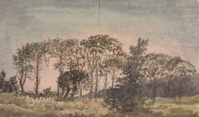 paisagem com árvores 作： David Charles Read