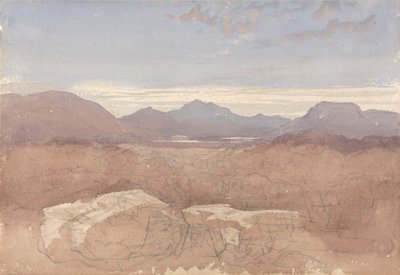  作： David Cox