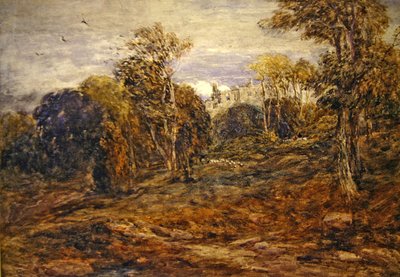 バーデン・タワー 作： David Cox