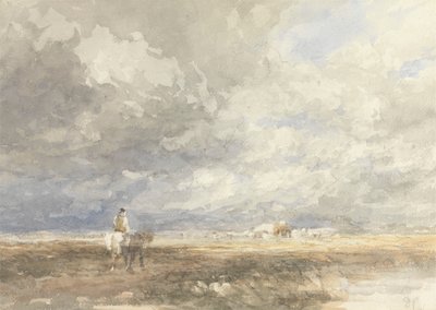 ヘイフィールドに行く 作： David Cox