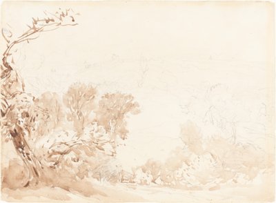 丘の中腹と木々 作： David Cox