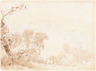  作： David Cox
