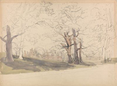  作： David Cox