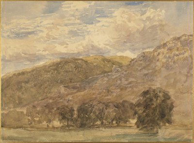  作： David Cox