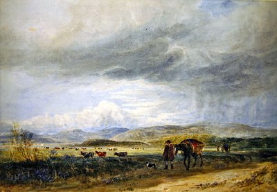 Llugwy Meadows（水彩・紙） 作： David Cox