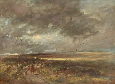  作： David Cox