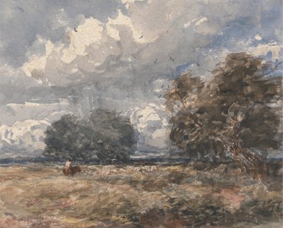 群れの羊飼い、風の強い日 作： David Cox