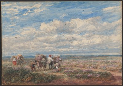  作： David Cox