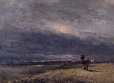 夜行列車 作： David Cox