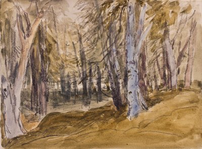 ボックスヒルの木（木炭とトイレ紙） 作： David Cox