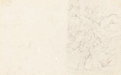 木[裏] 作： David Cox