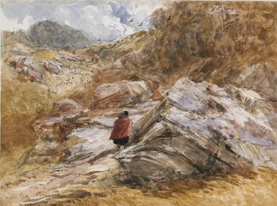Bettws-y-Coedの峠、1851年 作： David Cox the elder