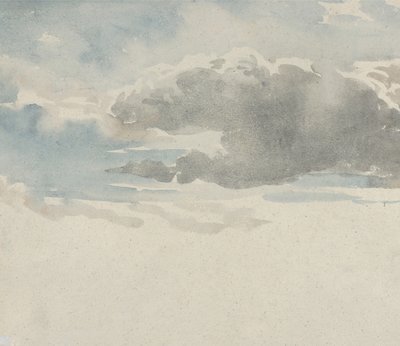 雲の直筆の研究、フェンスの裏によるニワトコの茂みの研究、1820-45。 作： David Cox the elder
