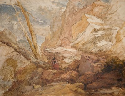 行方不明の子羊、1853年。 作： David Cox the elder
