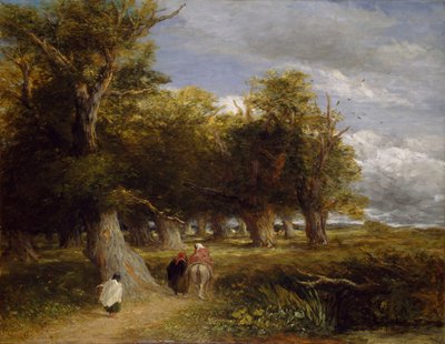 森のスカート、1856年。 作： David Cox the elder