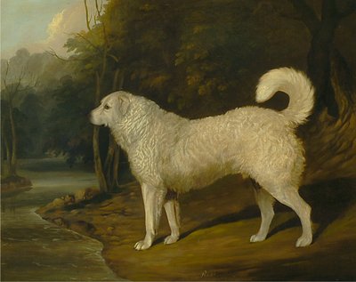 犬の肖像、ロス 作： David Dalby of York
