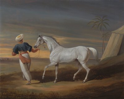 Signal, a Grey Arab, with a Groom in the Desert   1433280   ja       japanese Successfully Translated  Original: ""Saint Jean de Luz"" Vue de la cote basque a Saint-Jean-de-Luz (Pyrenees Atlantiques). Peinture de Pierre-Albert (Albert) Marquet (1875-1947)  作： David Dalby of York