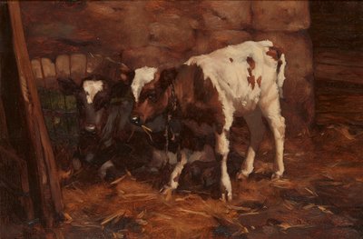 水のおしりのそばの 2 つの子牛 (キャンバスに油彩) 作： David Gauld