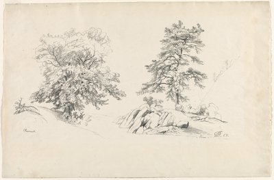 栗と松、1869年。 作： David Johnson