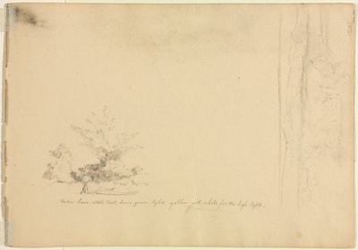 ランドスケープとツリーの研究、c。 1851年。 作： David Johnson