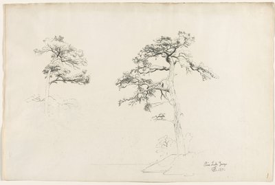パイン、レイクジョージ、1871年。 作： David Johnson