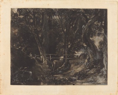 サフォーク州ヘルミンガム公園のデル 作： David Lucas after John Constable