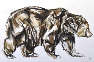 ヒグマの散歩、2012年（紙にパステル/コンテ） 作： David Mayer