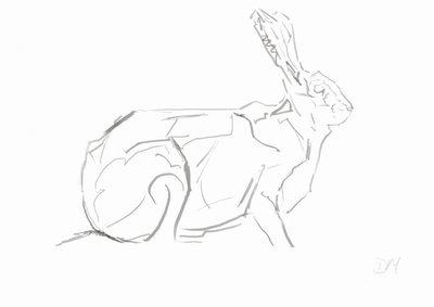 Hare, 2024（紙に竹葦ペンとインク） 作： David Mayer