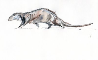 走るカワウソ、2022年（紙に水彩/クレヨン） 作： David Mayer