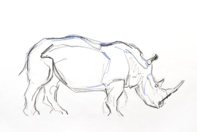 シロサイ、2021年（紙にクレヨンと水彩） 作： David Mayer