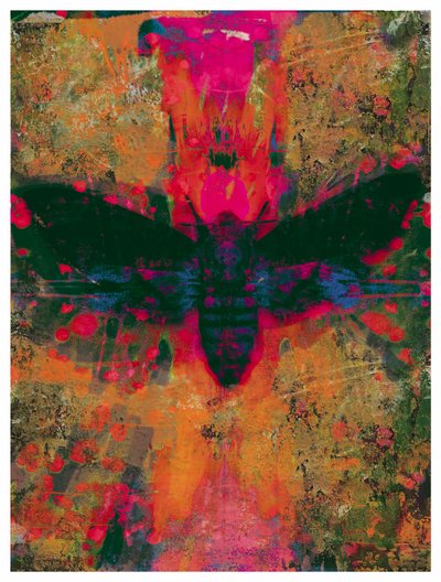 Death Moth Collage, 2016 (Collage on Paper) 作： David McConochie