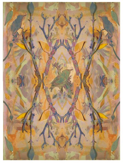 ムクドリ』2016年、紙にコラージュ 作： David McConochie