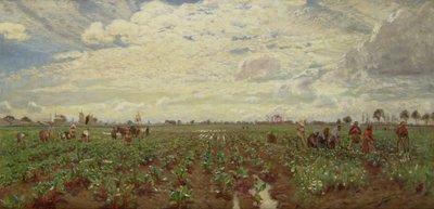 フィールドワーカー、オランダ、1880年代 作： David Murray