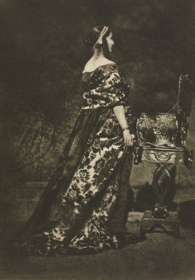 カメラワーク：ポートレート-ガウンと棺、1909。 作： David Octavius Hill