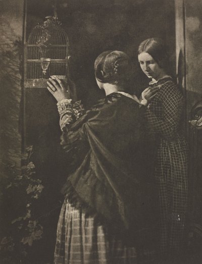 カメラワーク：鳥かご、1909。 作： David Octavius Hill