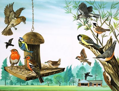 ワンス・アポン・ア・タイム』より「庭のテーブルを囲むさまざまな鳥たち」挿絵 作： David Pratt