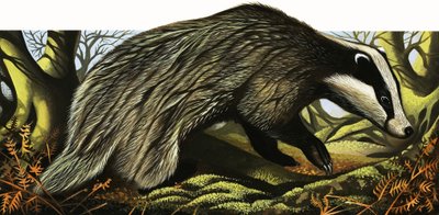 自宅でのアナグマ夫妻 作： David Pratt
