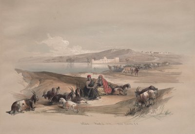 アシュドッド、1839年。 作： David Roberts