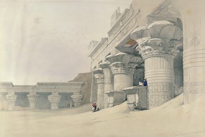 ロンドン、1838年に出版されたルイ・ハゲ（1806-85）によって彫刻された「エジプトとヌビア」からホルス神殿、エドフ 作： David Roberts