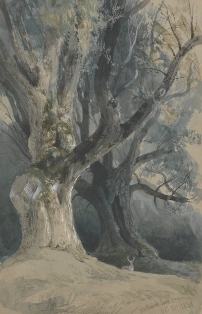 ノースウィック パークの木々 作： David Roberts