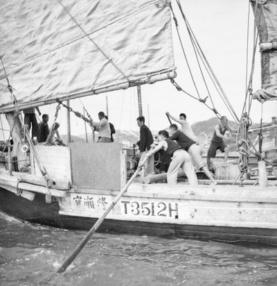 香港の深水埗（シャムスイポー）にて、香港のスモール・トレーダーT3512Hのスカルピングを間近で見る。 作： David Watkin Waters