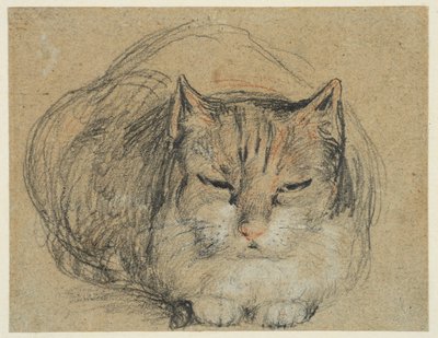 猫、「切り指」のための習作（レクト）、1809年頃（敷紙に黒、赤と白のチョーク、黒と白のチョーク） 作： David Wilkie